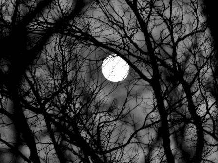 A bright full moon shines behind bare tree branches in a dark, moody night sky.