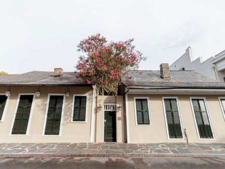 A beige building facade with tall shuttered windows and a leafy pink-flowering tree rising above the roofline.
